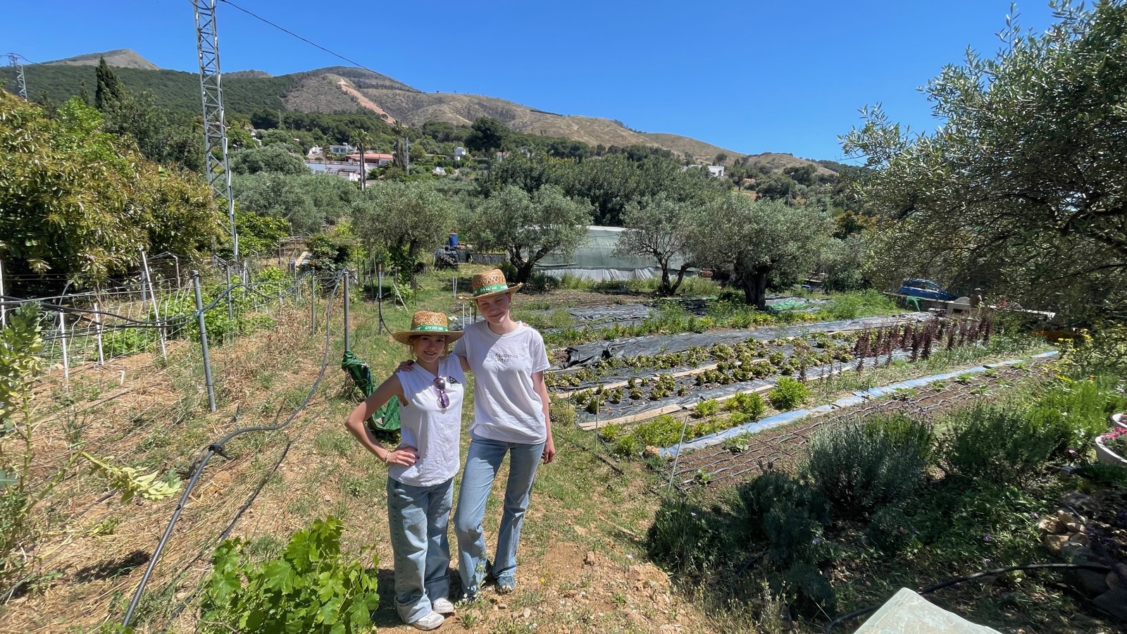 Discovering the growing environment