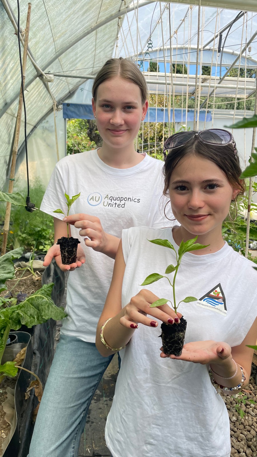 Learning about the plants