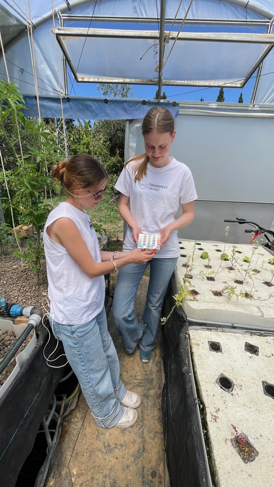 Hands-on water testing