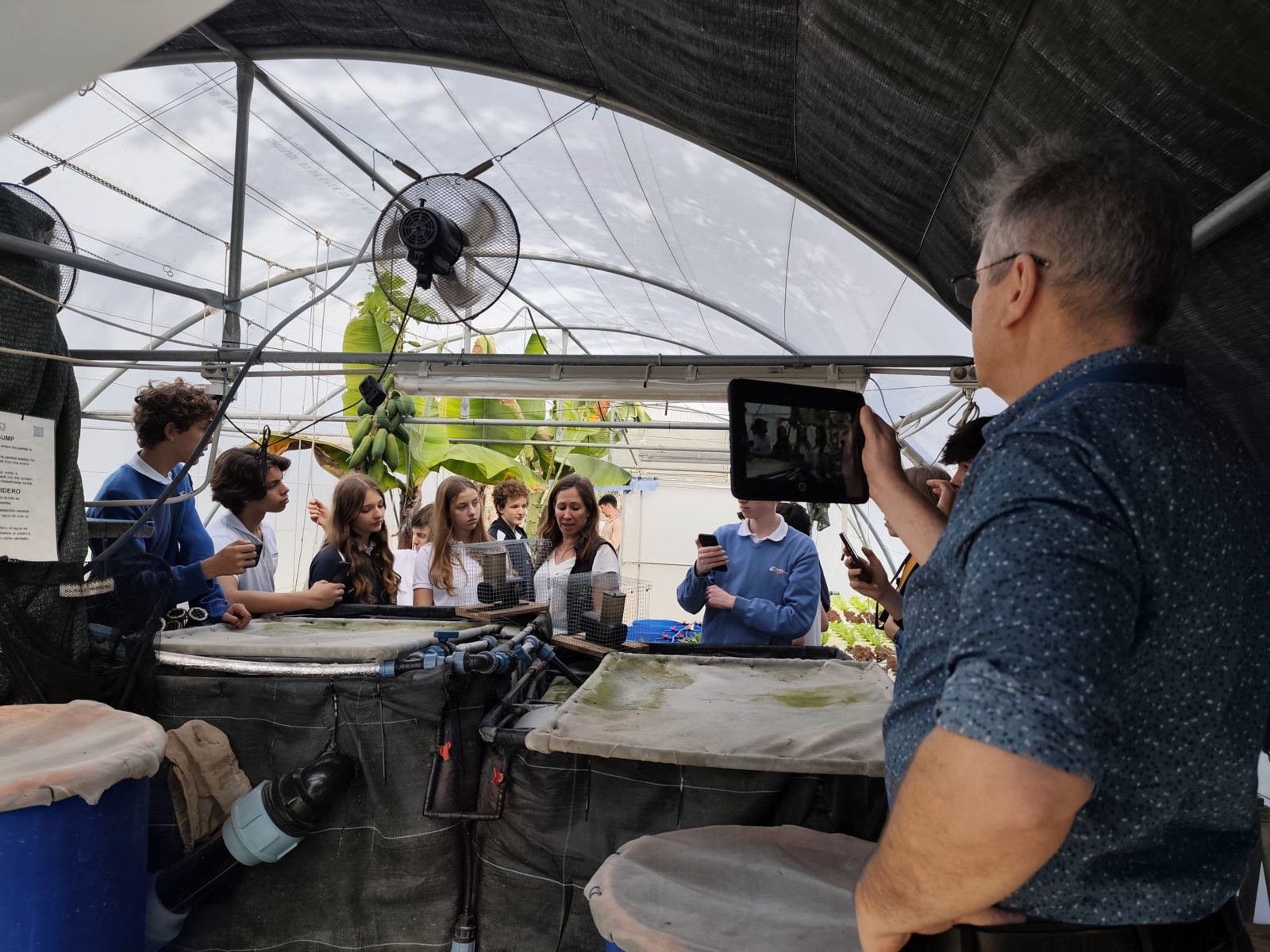 Exploring working aquaponic systems