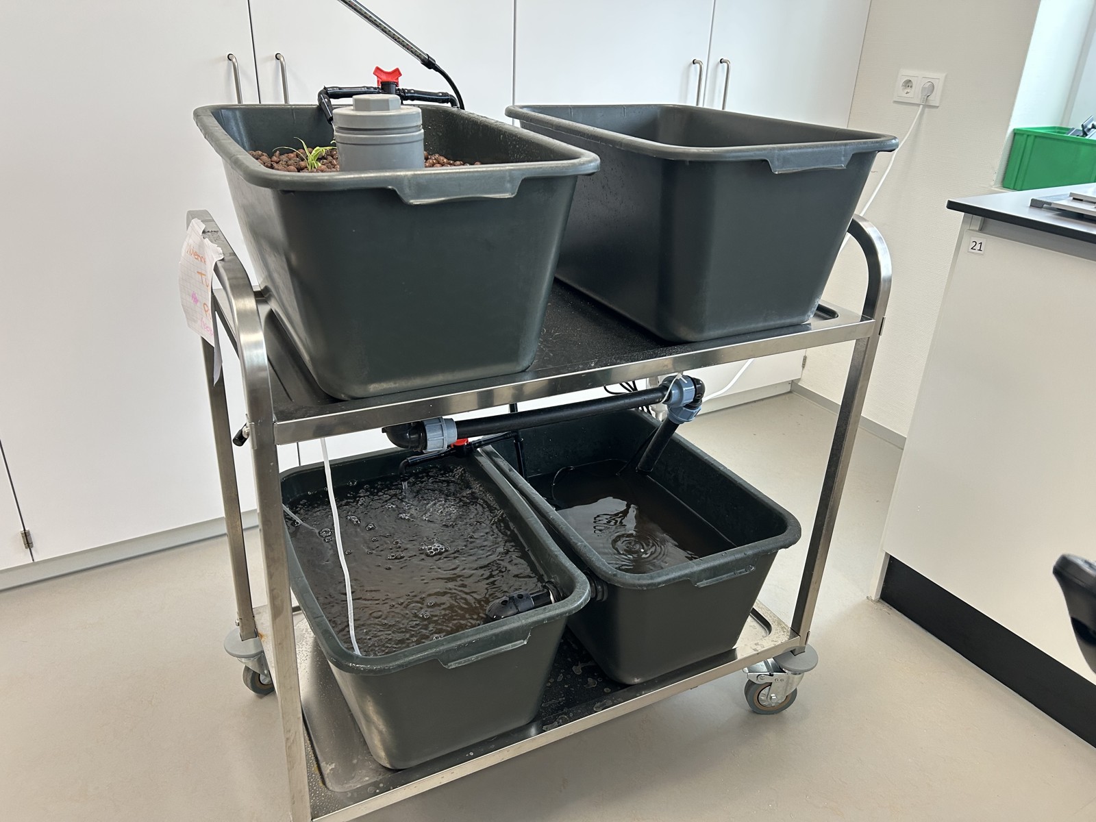 The portable school aquaponics system