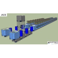 jade_dd