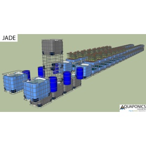 jade_dd