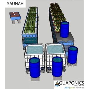 saunah_01