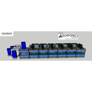 saunah_03